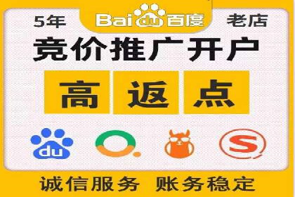 关键词竞价排名策略案例分析